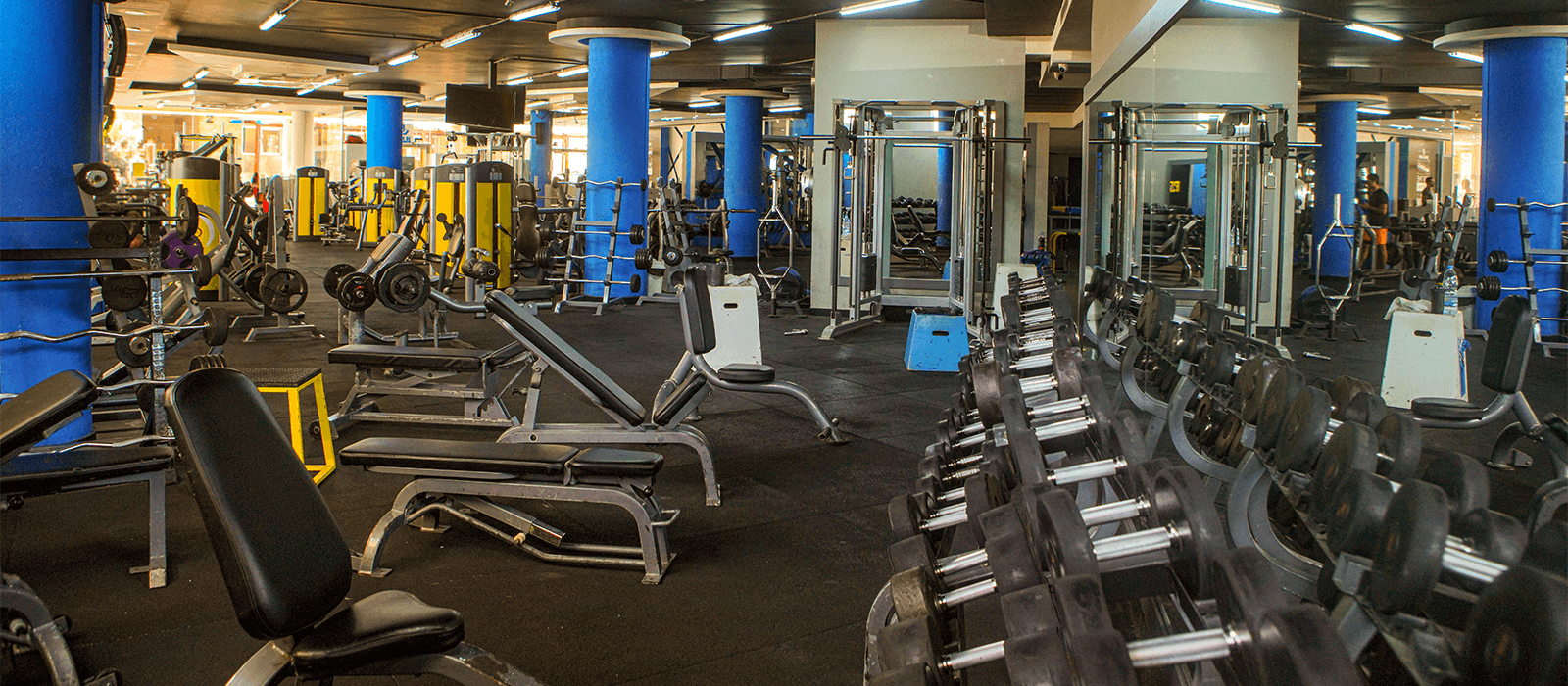 Health Club and Wellness